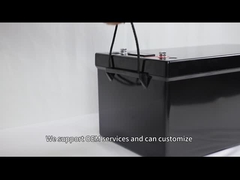 Lifepo4 12V 24V Lithiumbatterie 100ah 200ah 240ah mit BMS